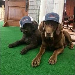 Hadley & Paisley