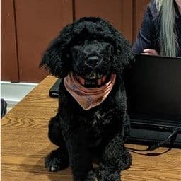 Co-Director of Employee Morale Molly May
