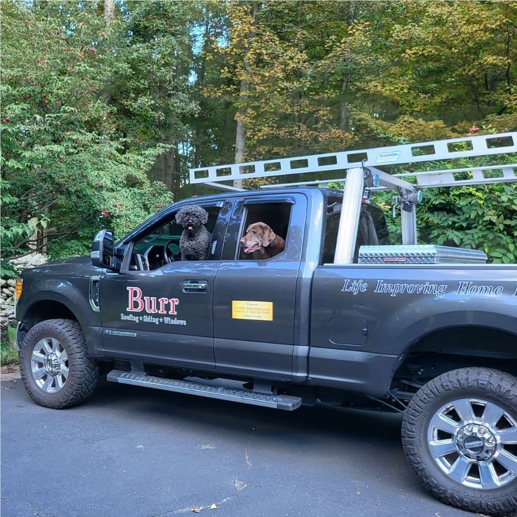 Burr truck with dogs